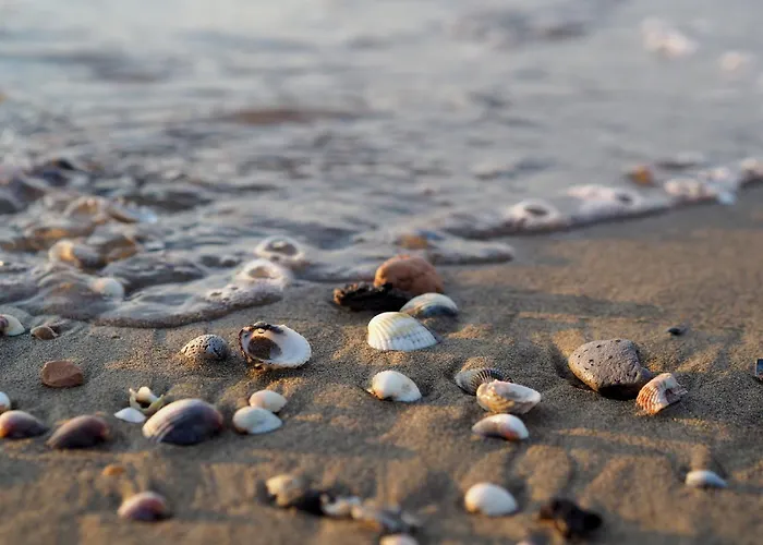 Cozy With Lateral Sea View In Apartment *